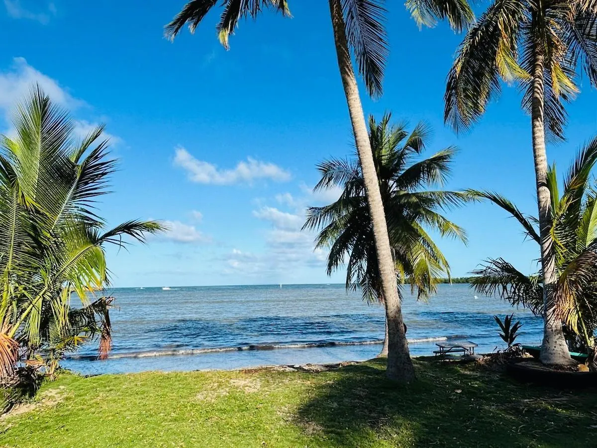 Mami Ana Beach House, The Oceanfront Rest Hideaway ! Ceiba 0*,  Puerto Rico